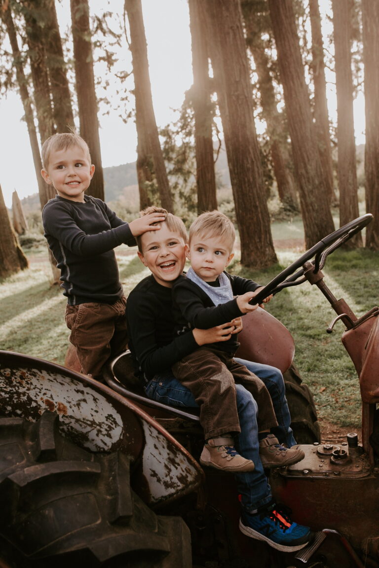 Three rambunctious brothers pile onto the seat of an old tractor. The eldest rests his feet on the pedals, the youngest takes the wheel and the middle child holds onto the hair of his older brother.